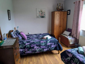 Home in the beautiful Meath countryside